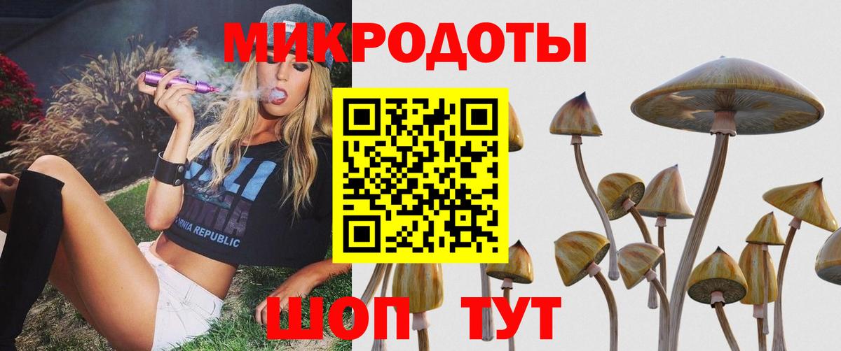 Сосновый Бор  Галлюциногенные грибы мухоморы  Галлюциногенные грибы Psilocybe  Вход с VPN 